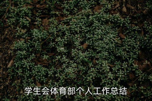 學生會體育部個人工作總結