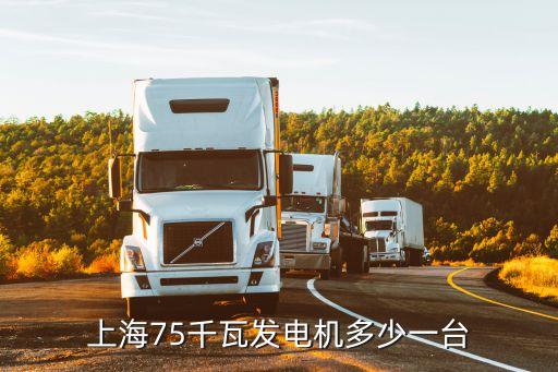 上海市發(fā)電機(jī)多少錢，上柴動力的100千瓦發(fā)電機(jī)組多少錢