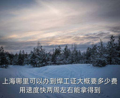 上海市焊工證領(lǐng)取電子版，上海哪里可以辦到焊工證大概要多少費用速度快兩周左右能拿得到