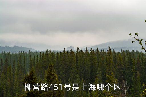 柳營路451號是上海哪個區