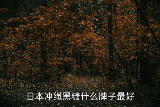 日本沖繩黑糖什么牌子最好