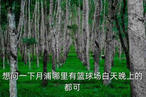 上海市月浦公園籃球場，上海市哪兒的街頭籃球場水平高