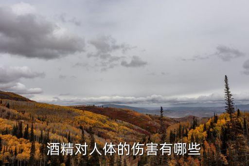 酒精對人體的傷害有哪些