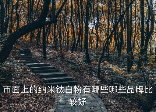 上海市納米鈦有哪些，市面上的納米鈦白粉有哪些哪些品牌比較好