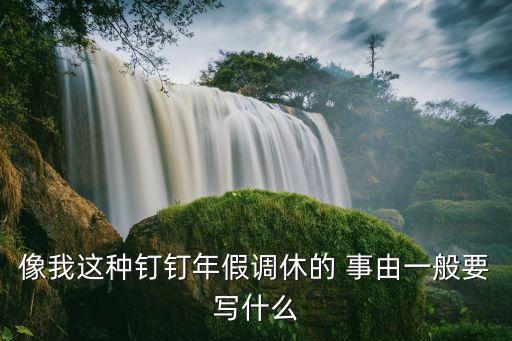 調(diào)休理由，像我這種釘釘年假調(diào)休的 事由一般要寫什么