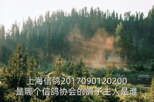 上海信鴿2017090120200是哪個信鴿協會的鴿子主人是誰
