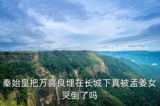 萬喜良，萬喜良屬什么肖
