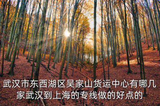 武漢市到上海市點對點包車，武漢到上海的客車有嗎票價多少