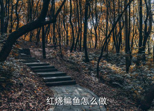 紅燒鳊魚怎么做
