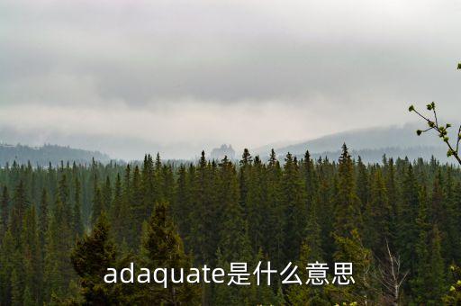 adaquate是什么意思