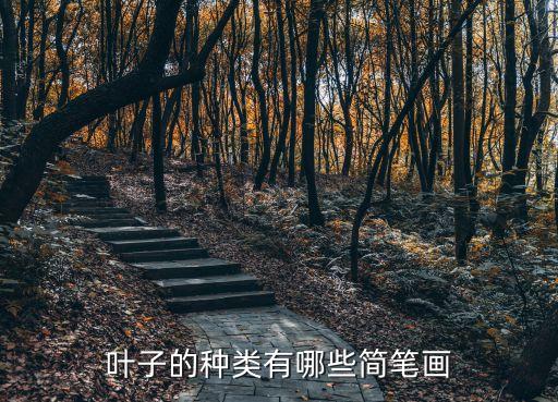 樹葉簡筆畫圖片大全，怎么畫大片的樹葉