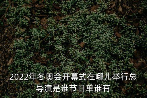 2022年冬奧會(huì)開幕式在哪兒舉行總導(dǎo)演是誰節(jié)目單誰有