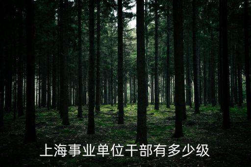 上海事業(yè)單位干部有多少級