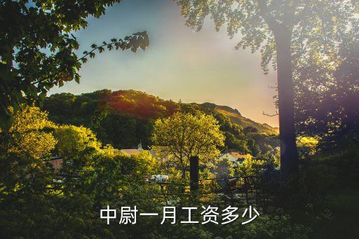 中尉一月工資多少