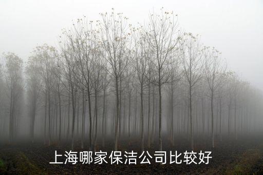 上海市環衛保潔公司，上海閔行區虹橋環衛綜合服務有限公司所在地