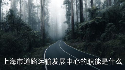 上海市道路運輸發展中心的職能是什么