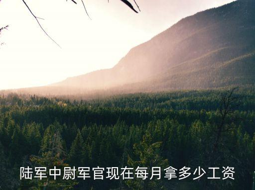 中尉工資，中尉一月工資多少