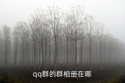 qq群的群相冊在哪