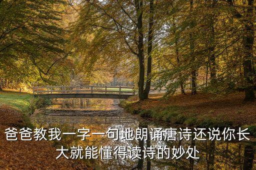 爸爸教我讀中國詩，節選自詩中的秋小時候爸爸教我一字一句地朗誦唐詩還說