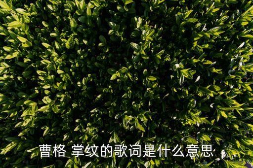 曹格 掌紋的歌詞是什么意思