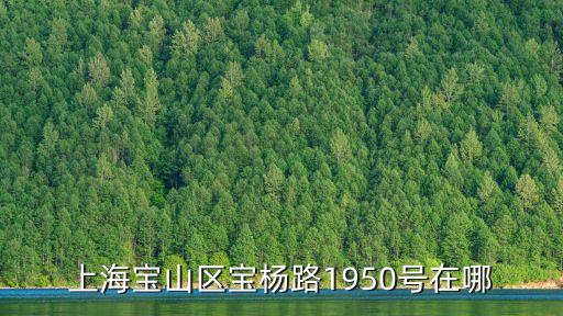 上海市寶楊路在哪里，上海寶楊路3106號在哪