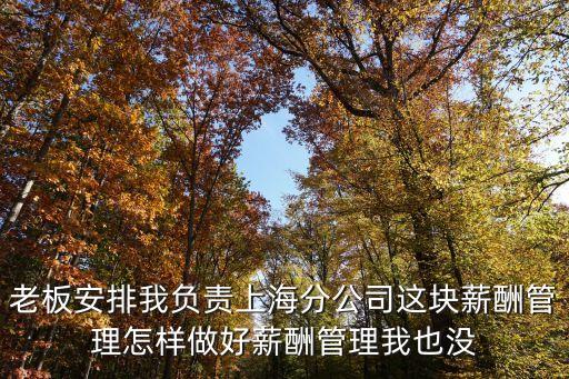 上海市薪酬管理，老板安排我負責(zé)上海分公司這塊薪酬管理怎樣做好薪酬管理我也沒