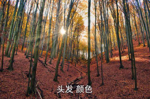 頭發 顏色