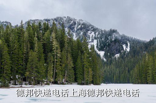 德邦快遞電話上海德邦快遞電話