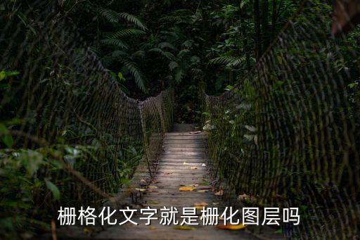 柵格化文字就是柵化圖層嗎