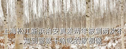 上海松江新浜治安真差兩年被到兩次不知到警察干啥吃的家都像