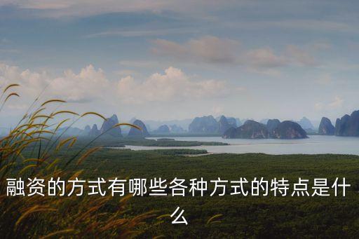 融資的方式有哪些各種方式的特點是什么