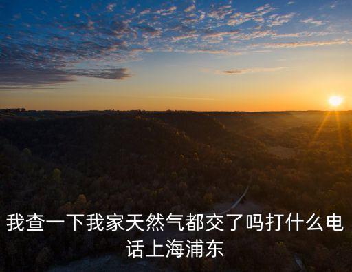 我查一下我家天然氣都交了嗎打什么電話上海浦東