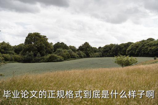 本科畢業(yè)論文格式，畢業(yè)論文的格式