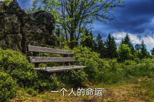 一個人的命運