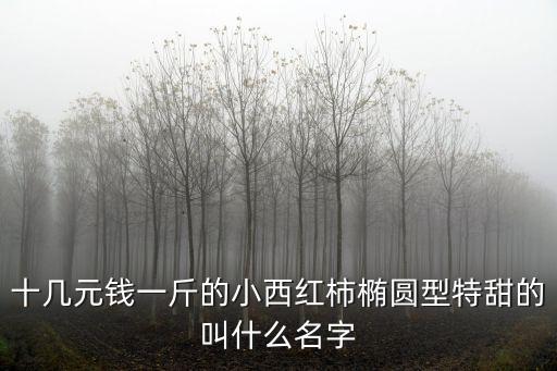 十幾元錢一斤的小西紅柿橢圓型特甜的叫什么名字