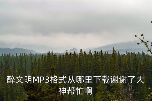 醉文明，醉文明收藏馬未都與馬未都說收藏是一樣的嗎