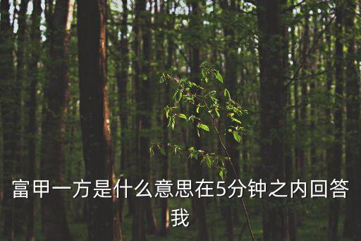 富甲一方是什么意思在5分鐘之內回答我
