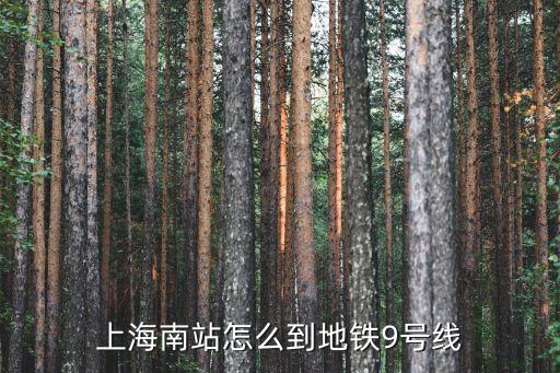 上海南站到上海市黃陂路9號，上海南站到黃陂南路站1號線 多少錢