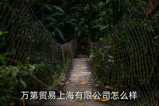 萬第貿易上海有限公司怎么樣