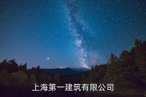 上海第一建筑有限公司
