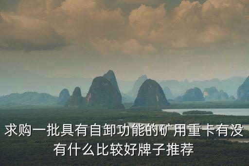 求購一批具有自卸功能的礦用重卡有沒有什么比較好牌子推薦
