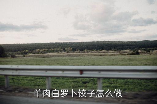 羊肉白羅卜餃子怎么做
