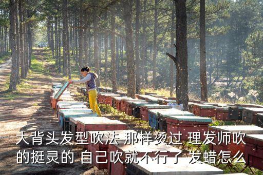 大背頭發(fā)型，這種大背頭發(fā)型怎么弄