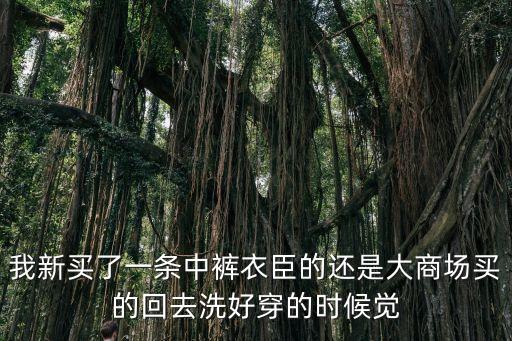我新買了一條中褲衣臣的還是大商場買的回去洗好穿的時候覺
