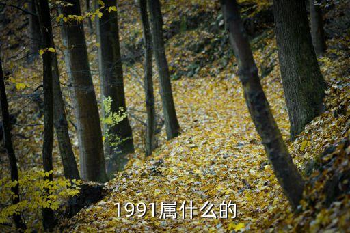 1991年屬什么生肖，1991屬什么