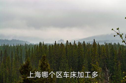上海哪個區車床加工多