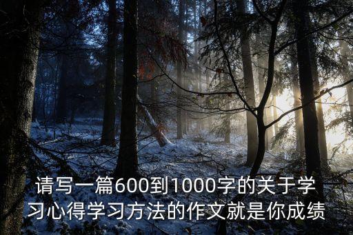 請寫一篇600到1000字的關于學習心得學習方法的作文就是你成績