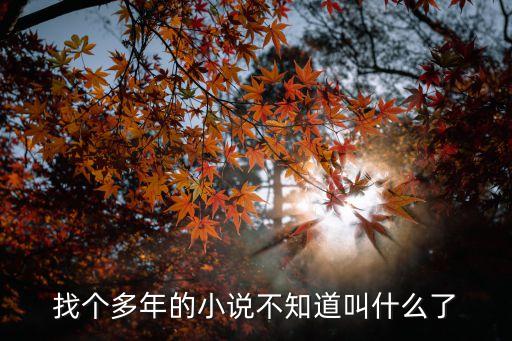 陸人杰，找個多年的小說不知道叫什么了