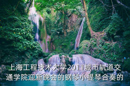上海市工程技術大學夏建國，1977年夏建國考入哪個大學