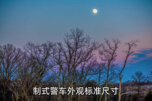 制式警車外觀標準尺寸